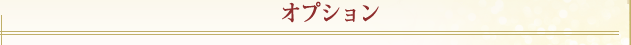 オプション